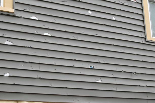 Best Storm Damage Siding Repair  in USA